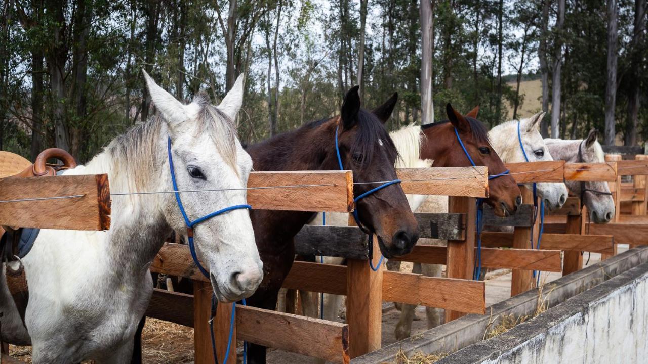 Отель Fazenda Santa Vitoria Келуш Экстерьер фото